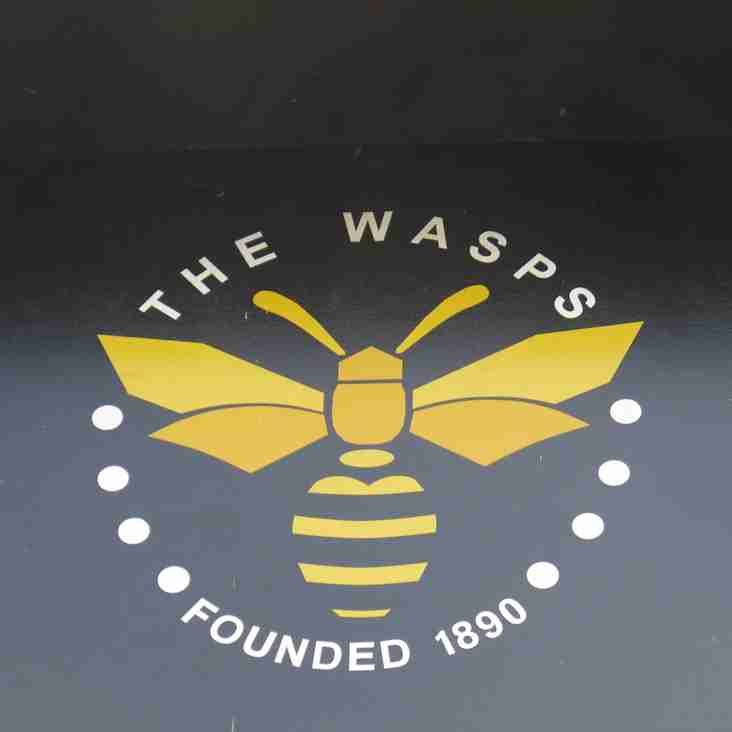From K's to Wasps