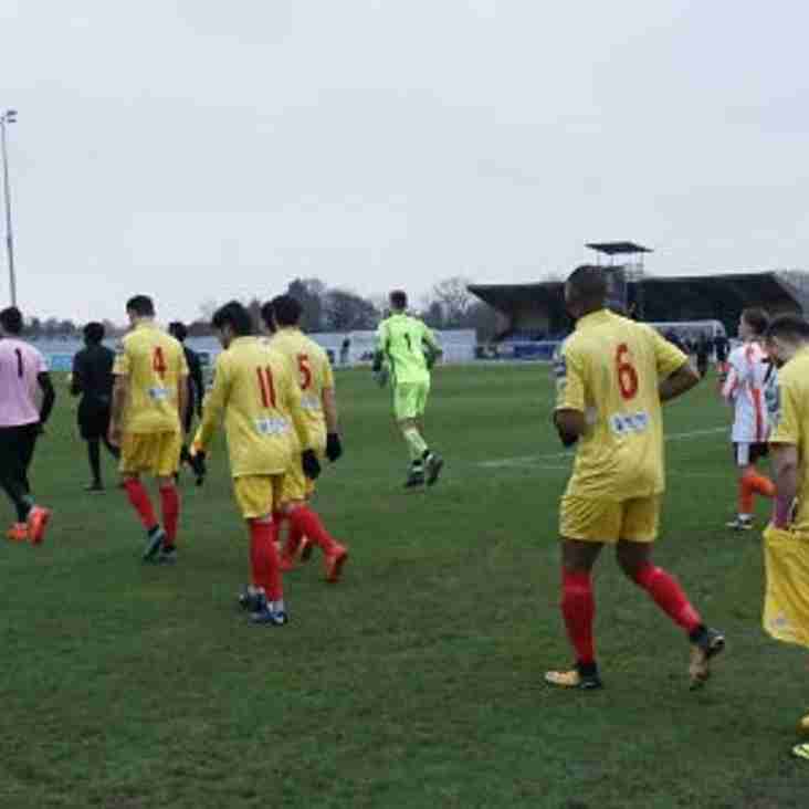 Bostik Blog: Wolves don't like Tangerines