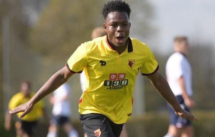 Ogo as a young Hornet
