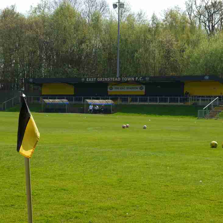 Wasps awarded grant to improve their nest